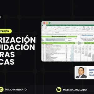Programación de Obras con Ms Project