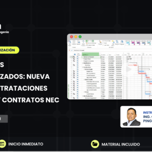 CONTRATOS ESTANDARIZADOS: NUEVA LEY DE CONTRATACIONES PÚBLICAS Y CONTRATOS NEC